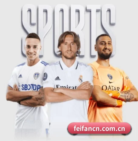 本站五个常用功能入口,赛程查询路径更短(FEIFAN)